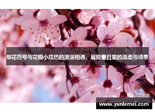 樱花符号与花瓣小尾巴的浪漫相遇，展现春日里的温柔与诗意